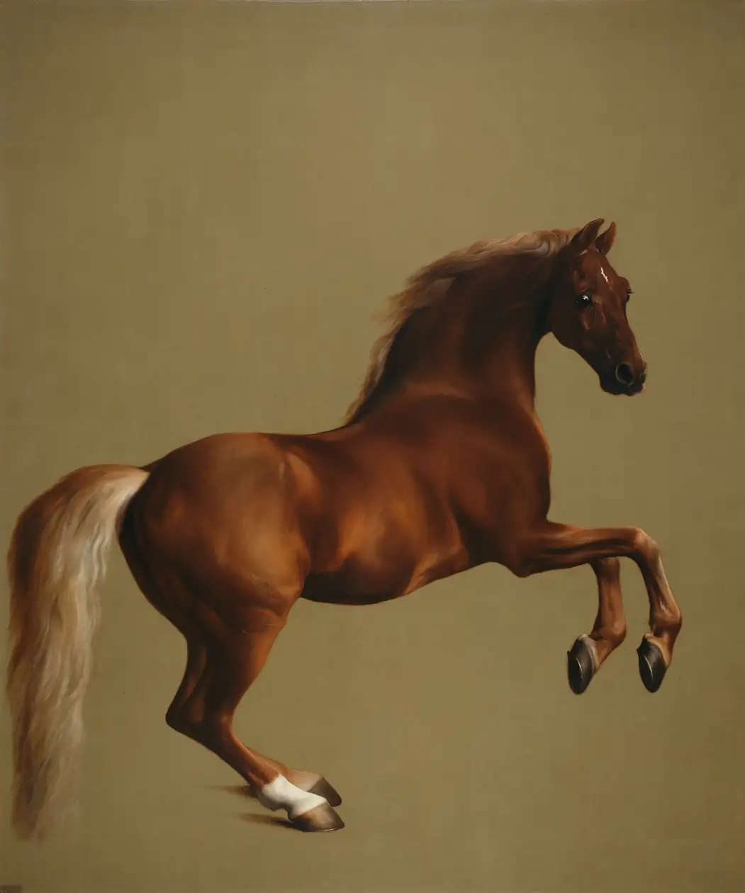 A chestnut racehorse rearing against a plain background